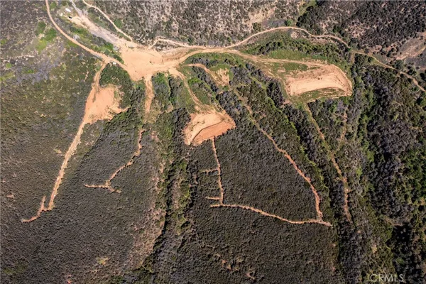 a view of a dry yard