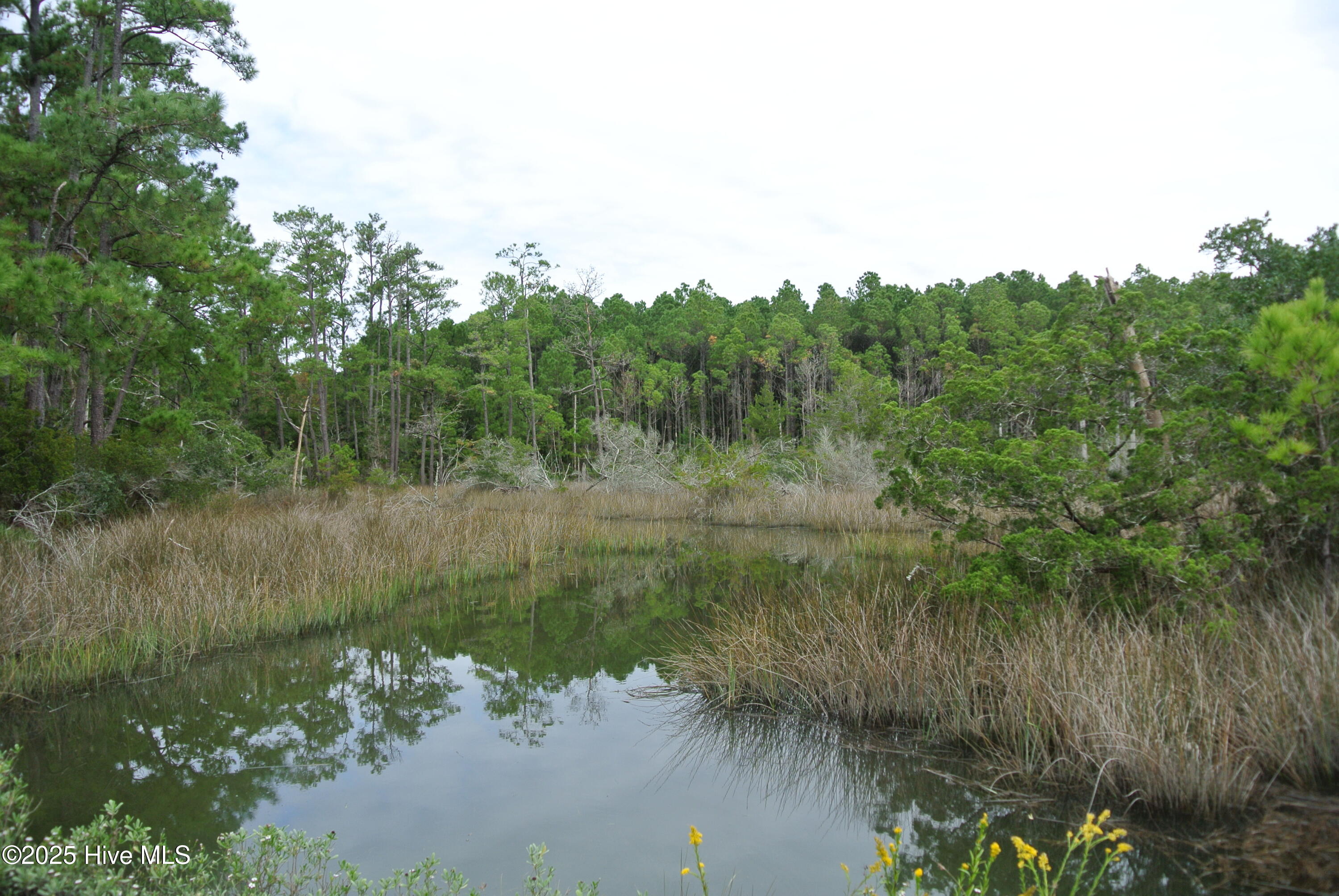 580 Straits Road Gloucester, NC 28528 - Photo 14 of 17 DSC_7767