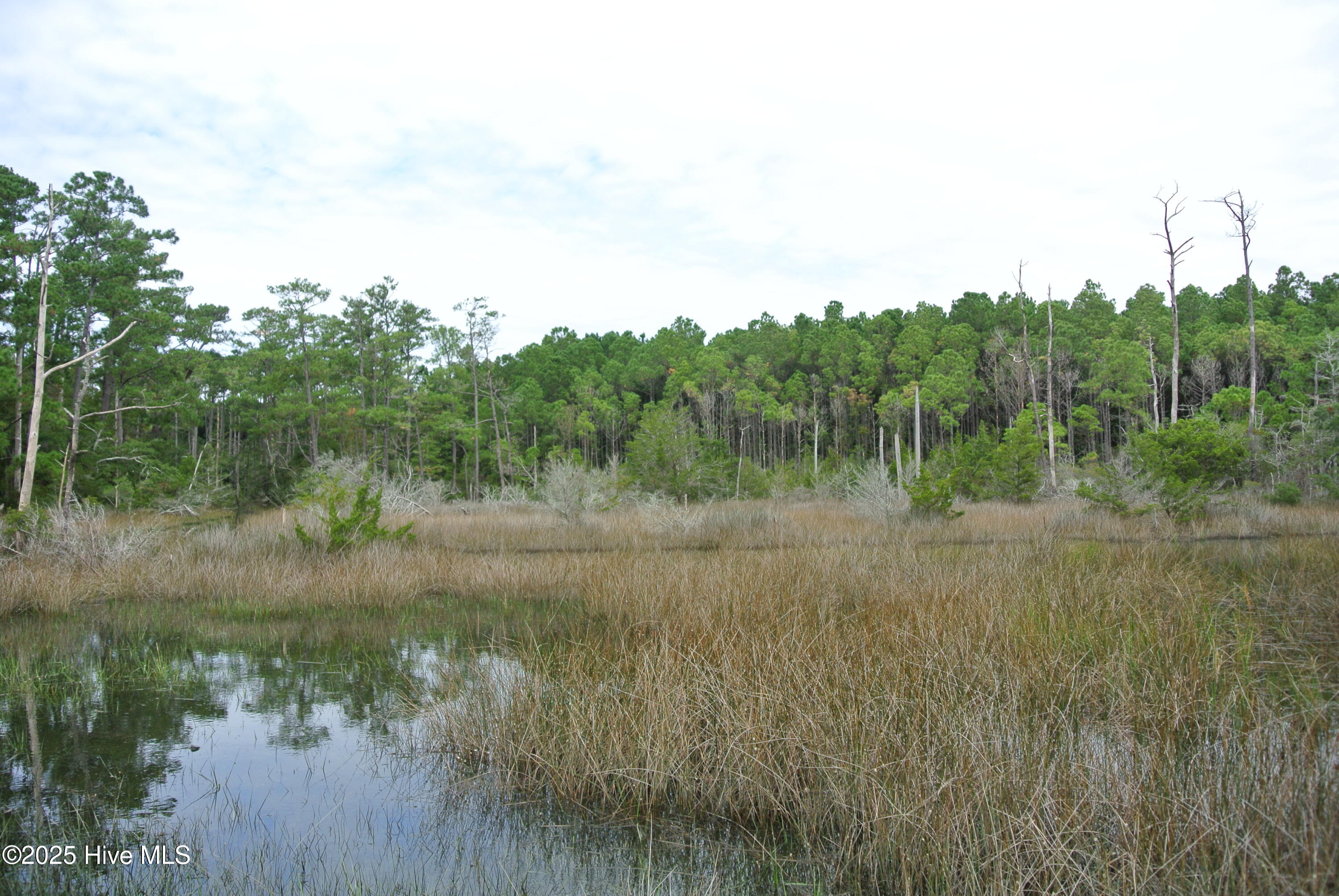 580 Straits Road Gloucester, NC 28528 - Photo 15 of 17 DSC_7768