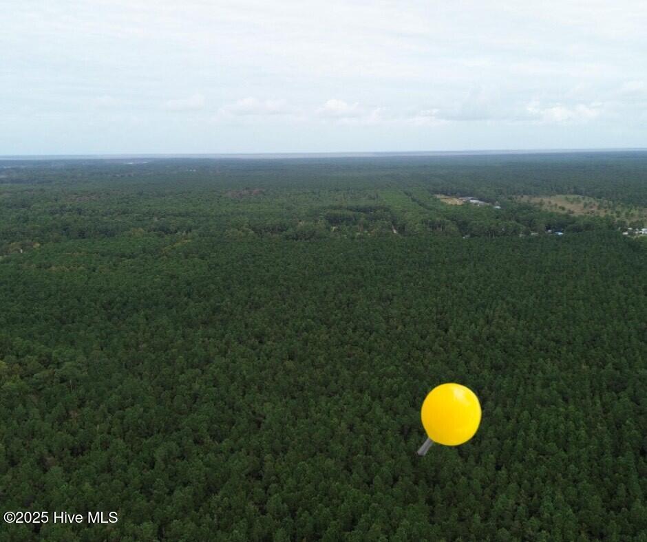 580 Straits Road Gloucester, NC 28528 - Photo 2 of 17 Untitled design (6)