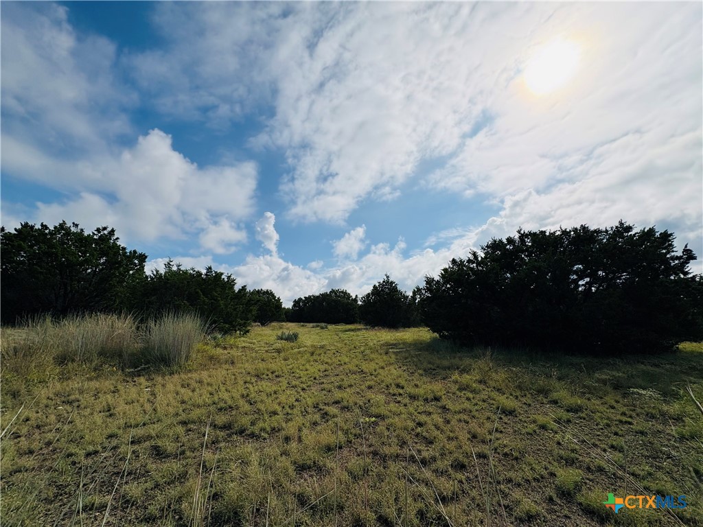 369 County Road 3367 Kempner, TX 76539 - Photo 17 of 18 a view of a lake