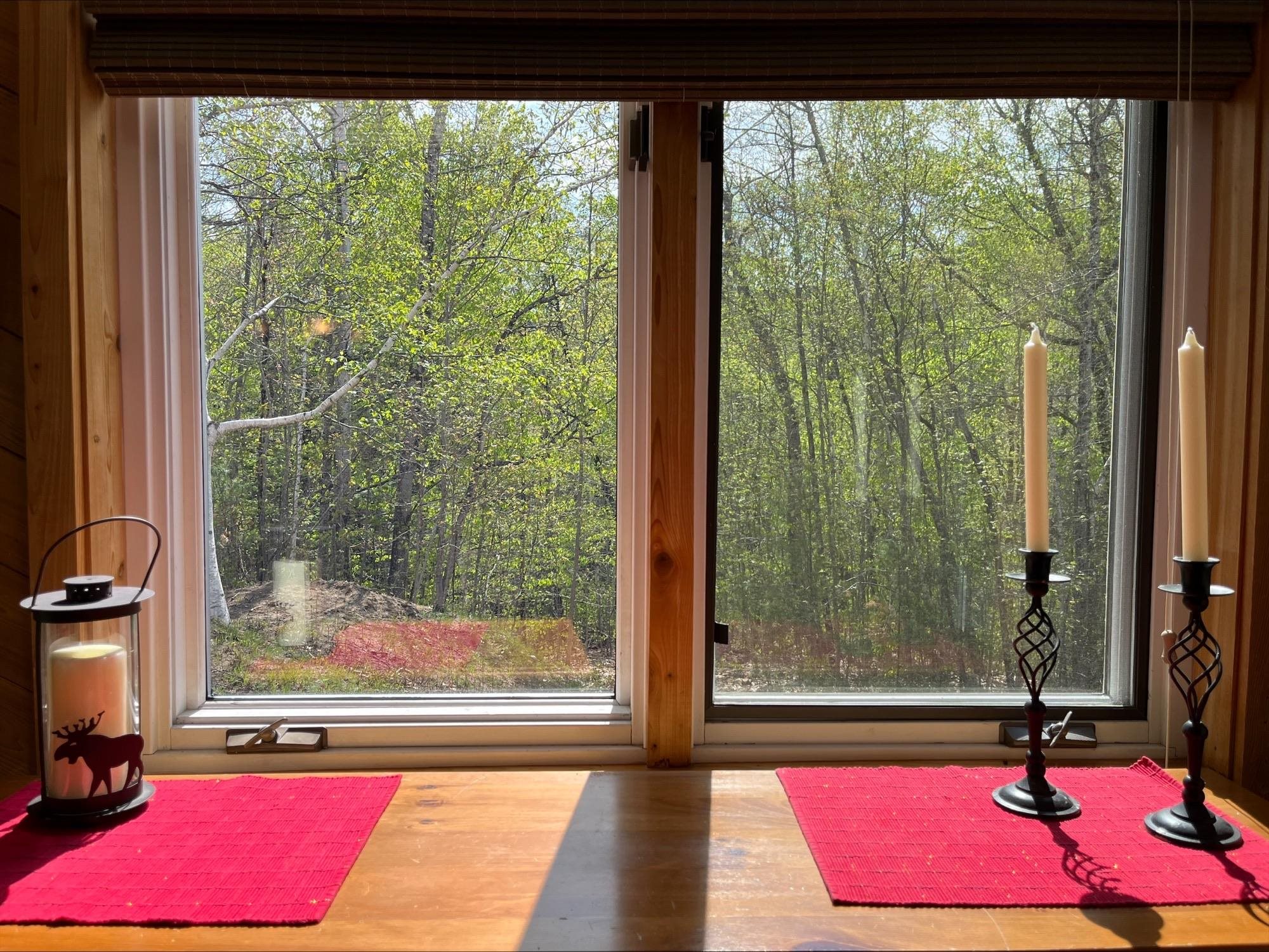 32 Top Notch Road Bartlett, NH 03812 - Photo 20 of 49