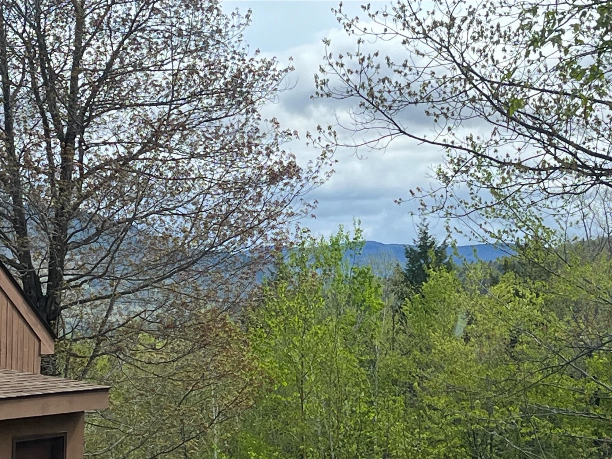 32 Top Notch Road Bartlett, NH 03812 - Photo 31 of 49