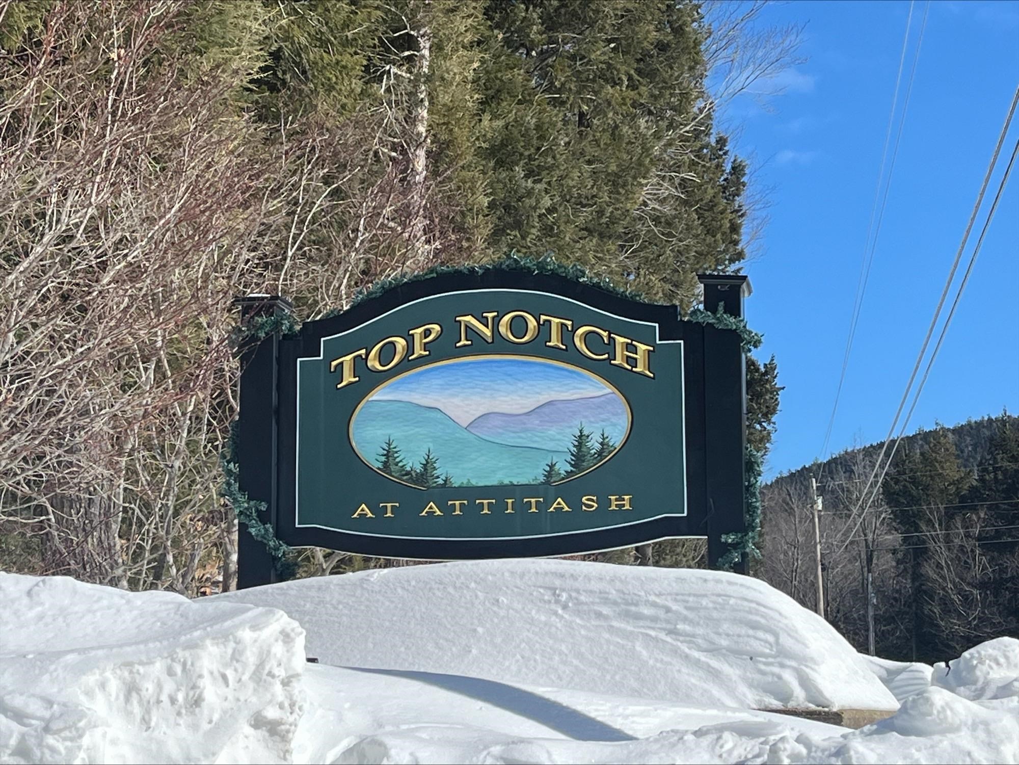 32 Top Notch Road Bartlett, NH 03812 - Photo 48 of 49