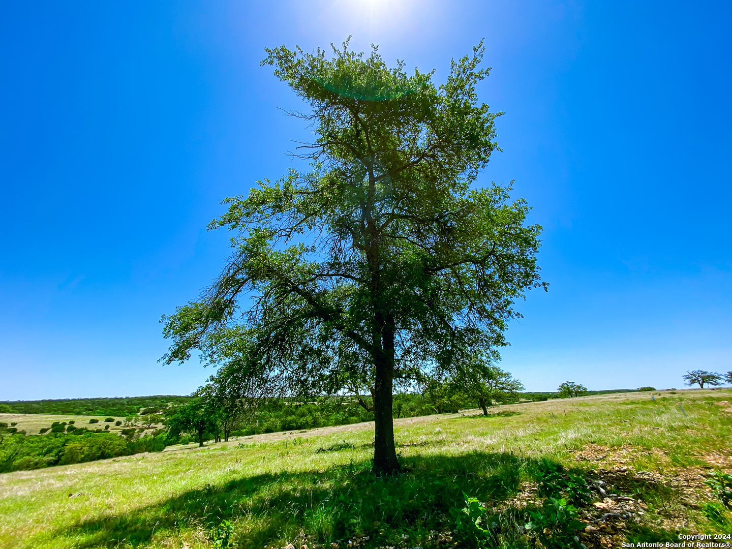 Lot 124 Loma Vista Ranch Kerrville, TX 78028 - Photo 12 of 17