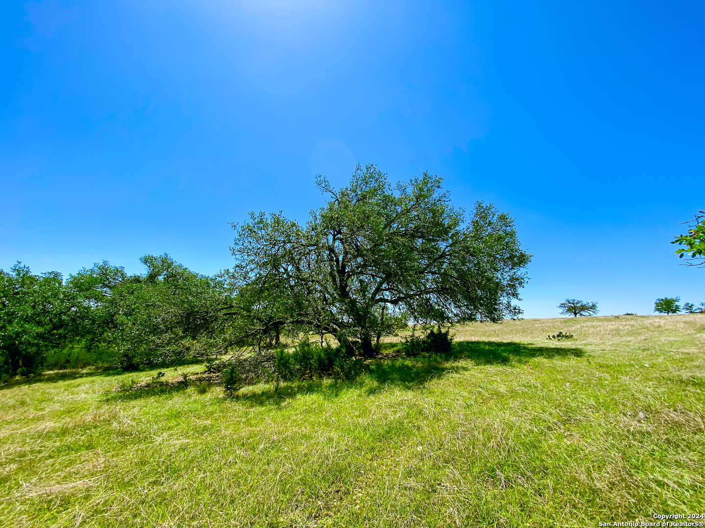 Lot 124 Loma Vista Ranch Kerrville, TX 78028 - Photo 5 of 17