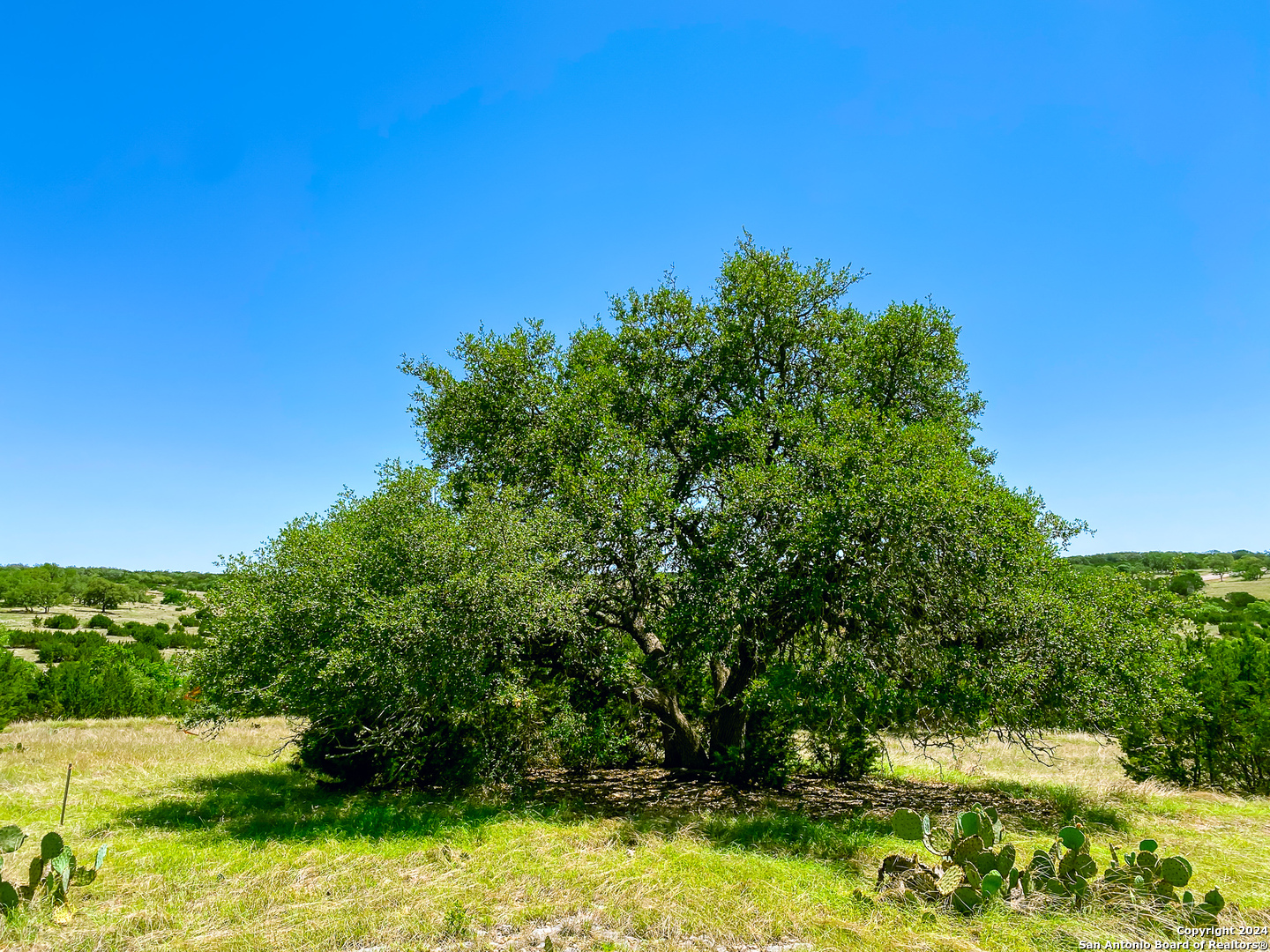 Lot 124 Loma Vista Ranch Kerrville, TX 78028 - Photo 9 of 17