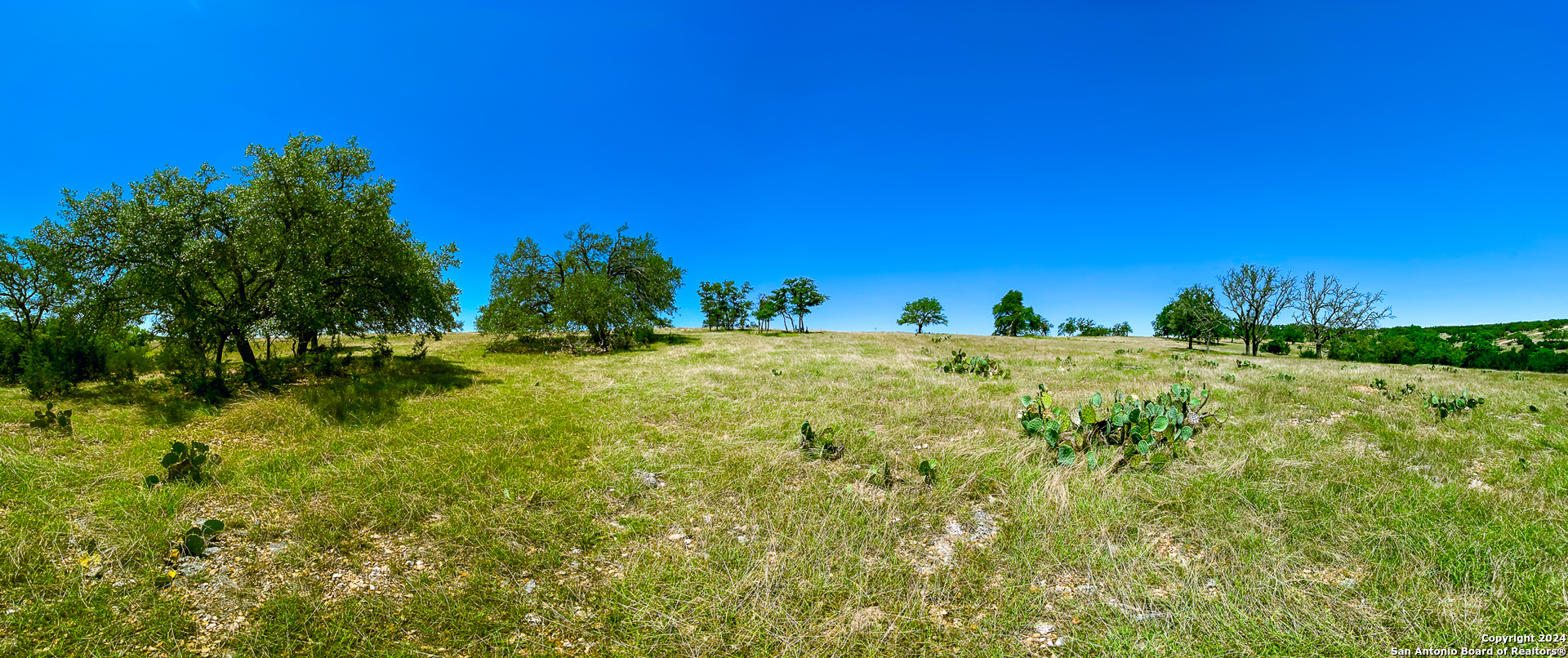 Lot 124 Loma Vista Ranch Kerrville, TX 78028 - Photo 10 of 17