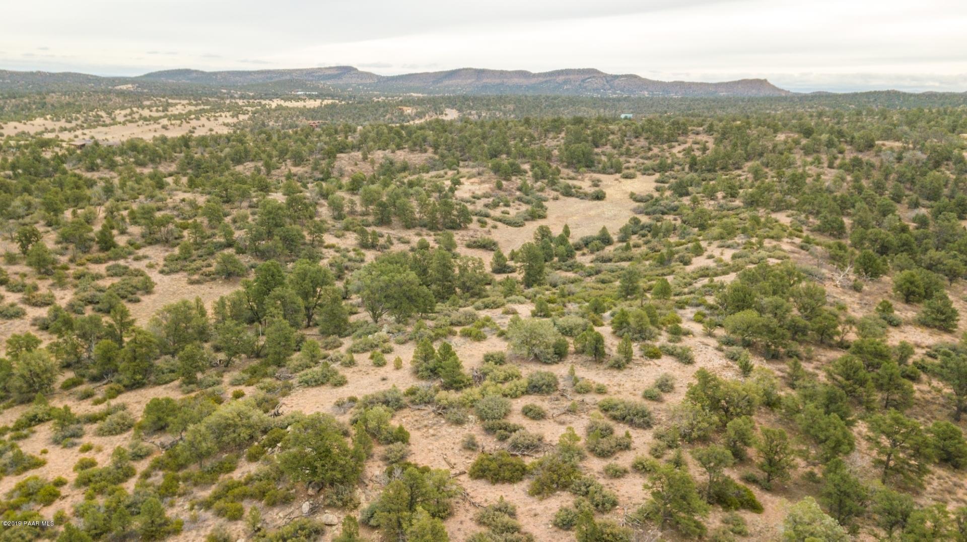 Natural Vegetation