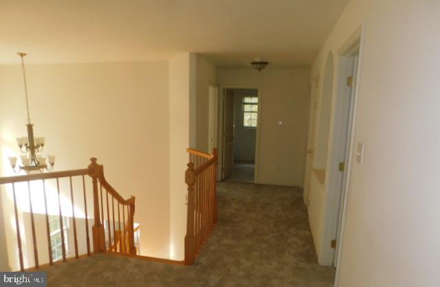 158 Tuckerton Road Shamong, NJ 08088 - Photo 29 of 46 Gallery Image 29