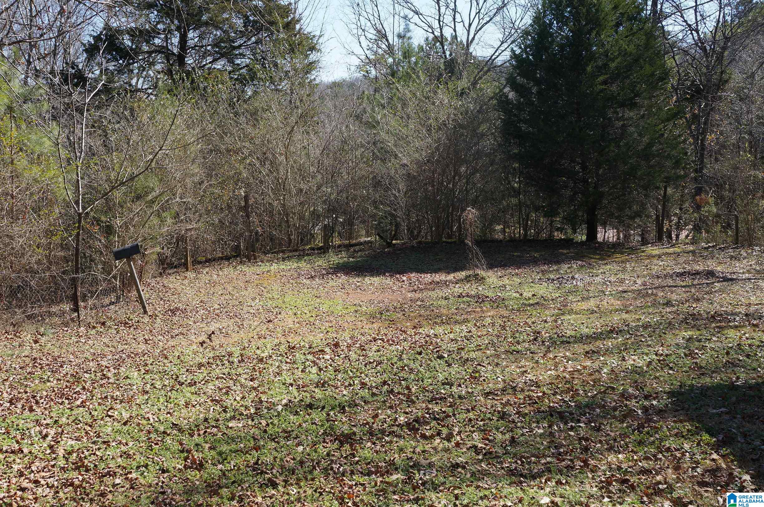 2410 Taylors Mill Road Talladega, AL 35160 - Photo 14 of 50