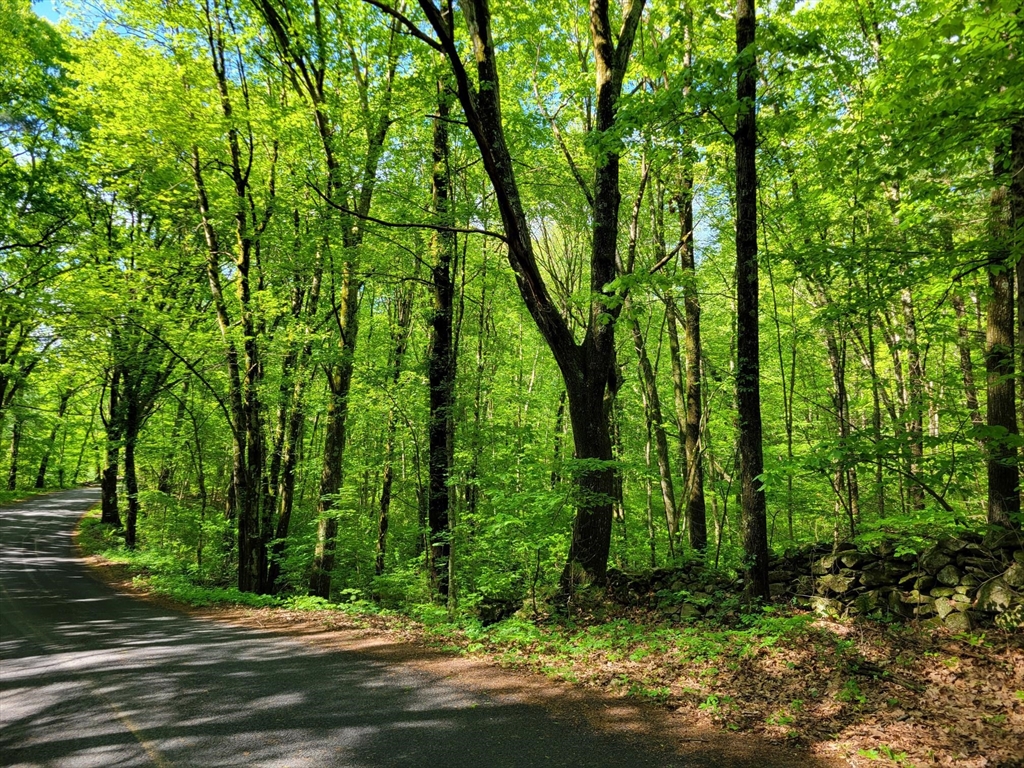 Lot 8 Daniels Road Dudley, MA 01571 - Photo 3 of 4
