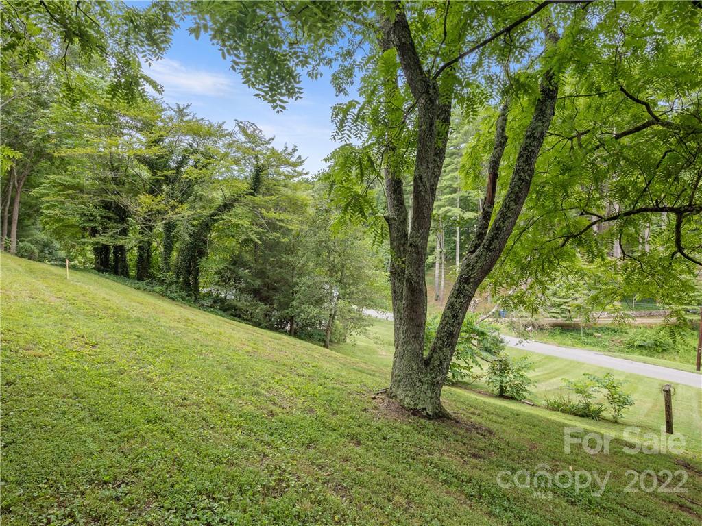 14 Spring Cove Road Asheville, NC 28804 - Photo 17 of 20 Gallery Image 17
