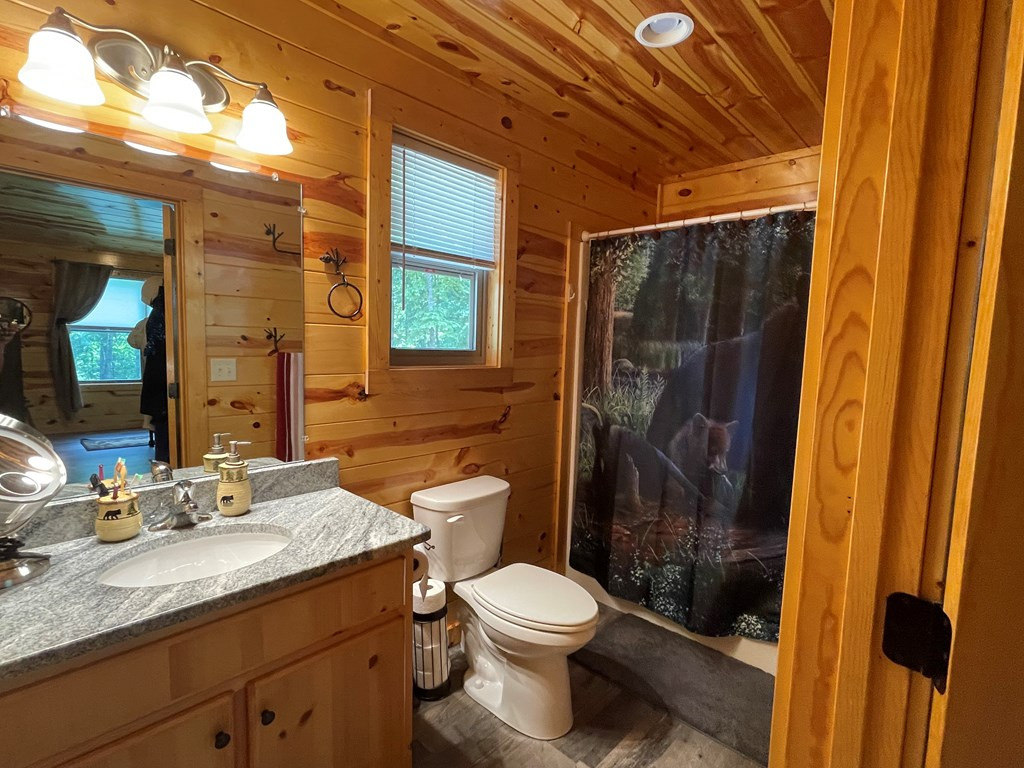 436 Bear Paw Church Road Murphy, NC 28906 - Photo 31 of 39 Gallery Image 31