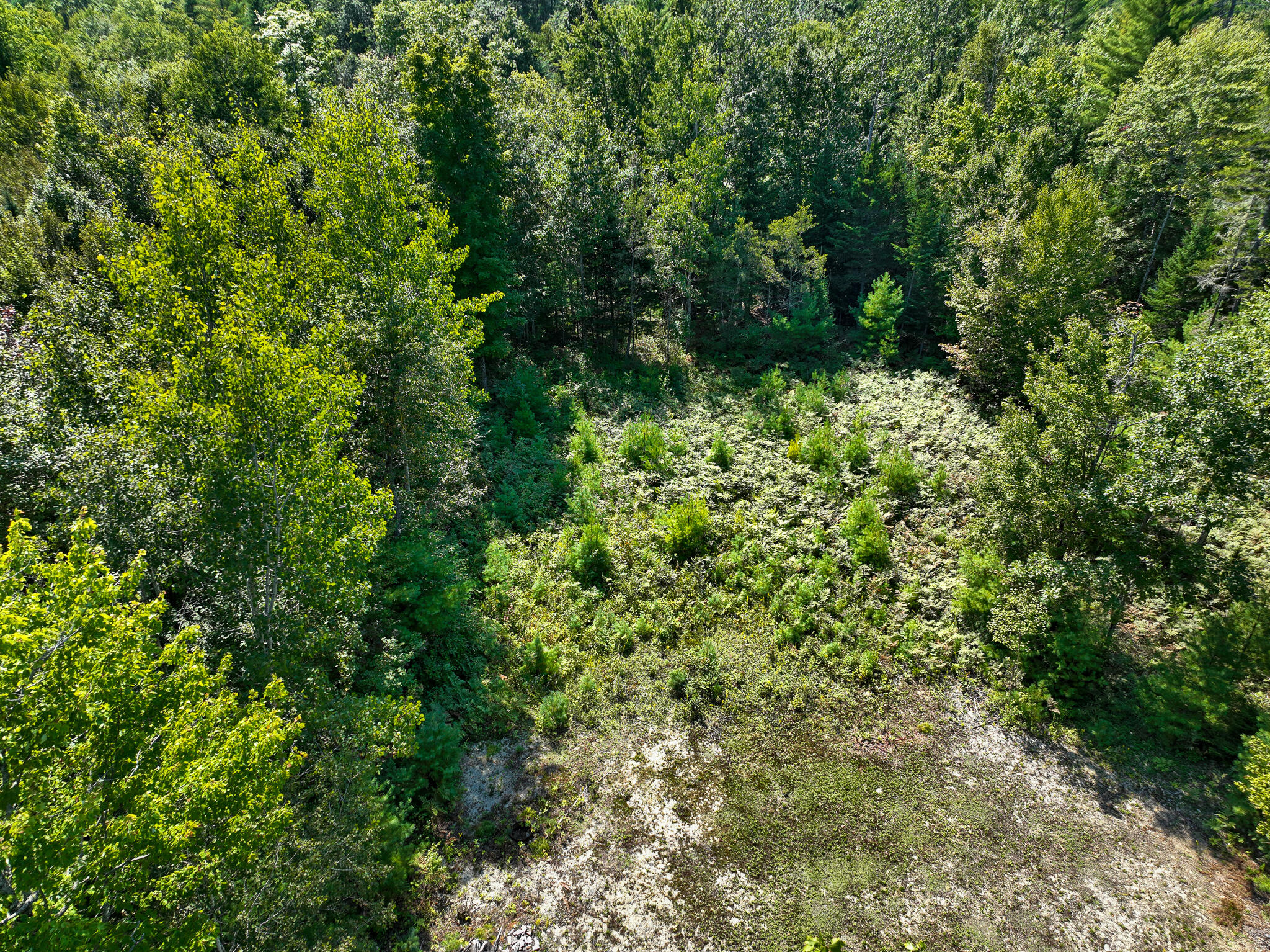 Lot R537 River Bend Carthage, ME 04224 - Photo 9 of 21 DJI_0311