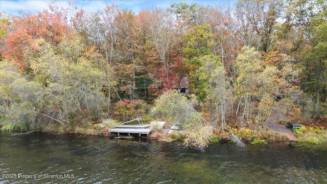 a view of a small yard