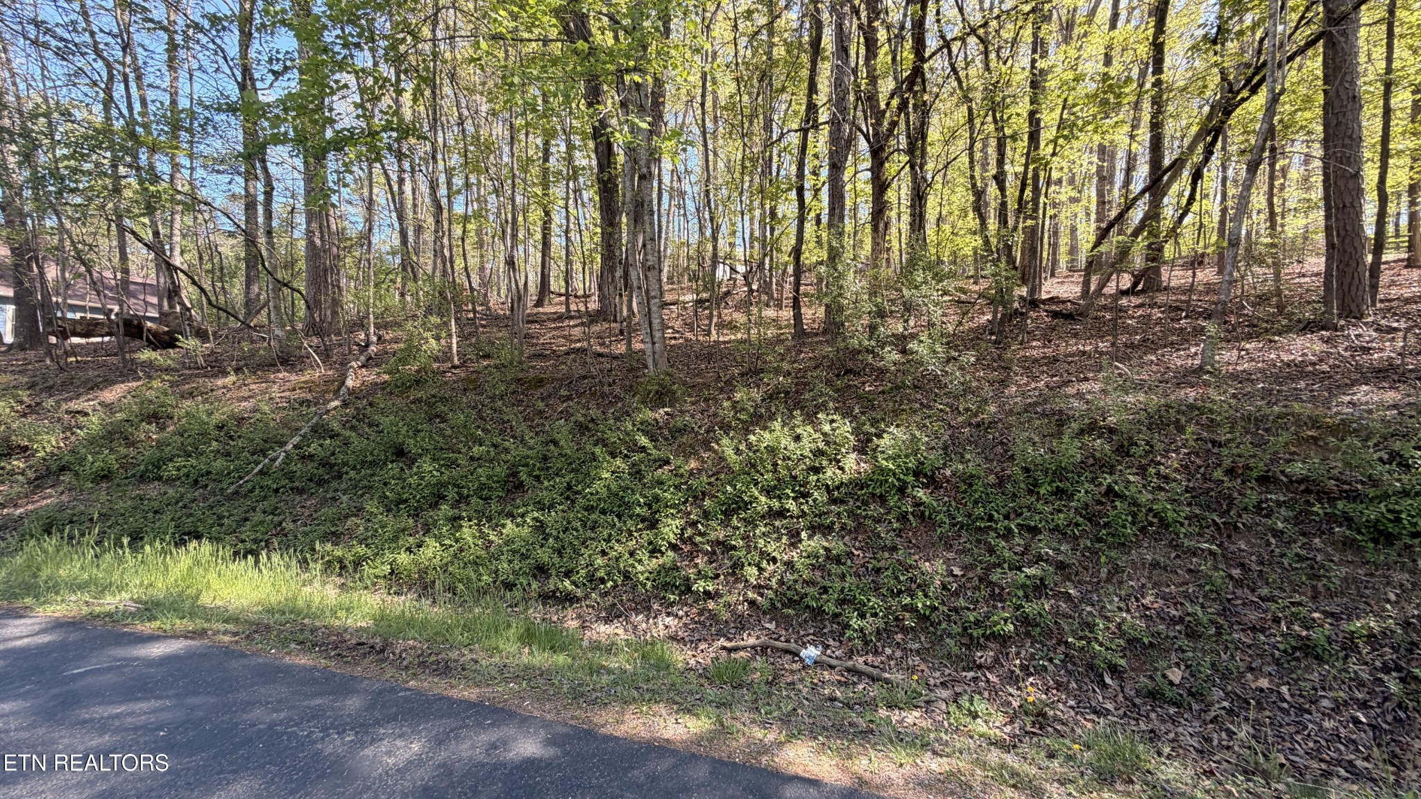 280 Ootsima Way Loudon, TN 37774 - Photo 2 of 4