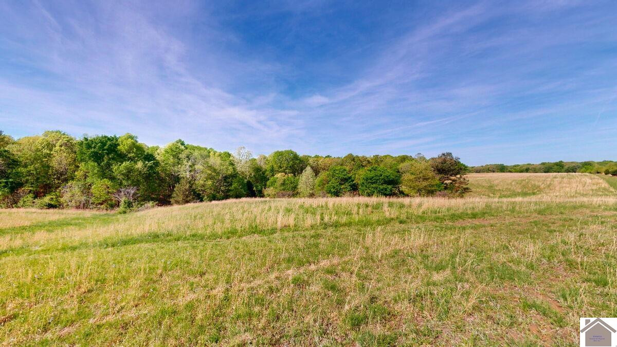 3210 Douglas Road Murray, KY 42071 - Photo 45 of 48 Photo 47