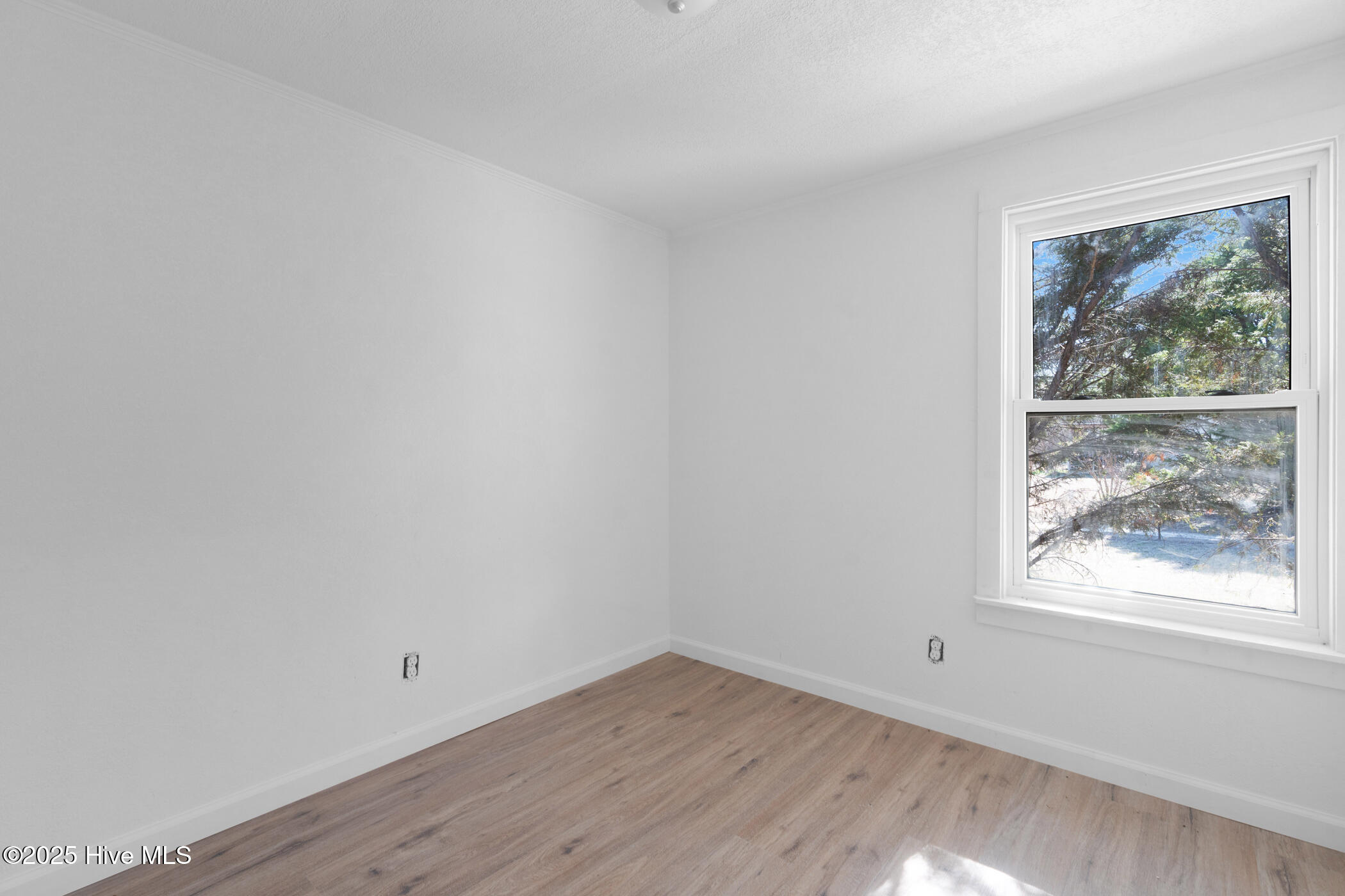 650 Clayton Carriker Road Ellerbe, NC 28338 - Photo 19 of 21 DSC07940