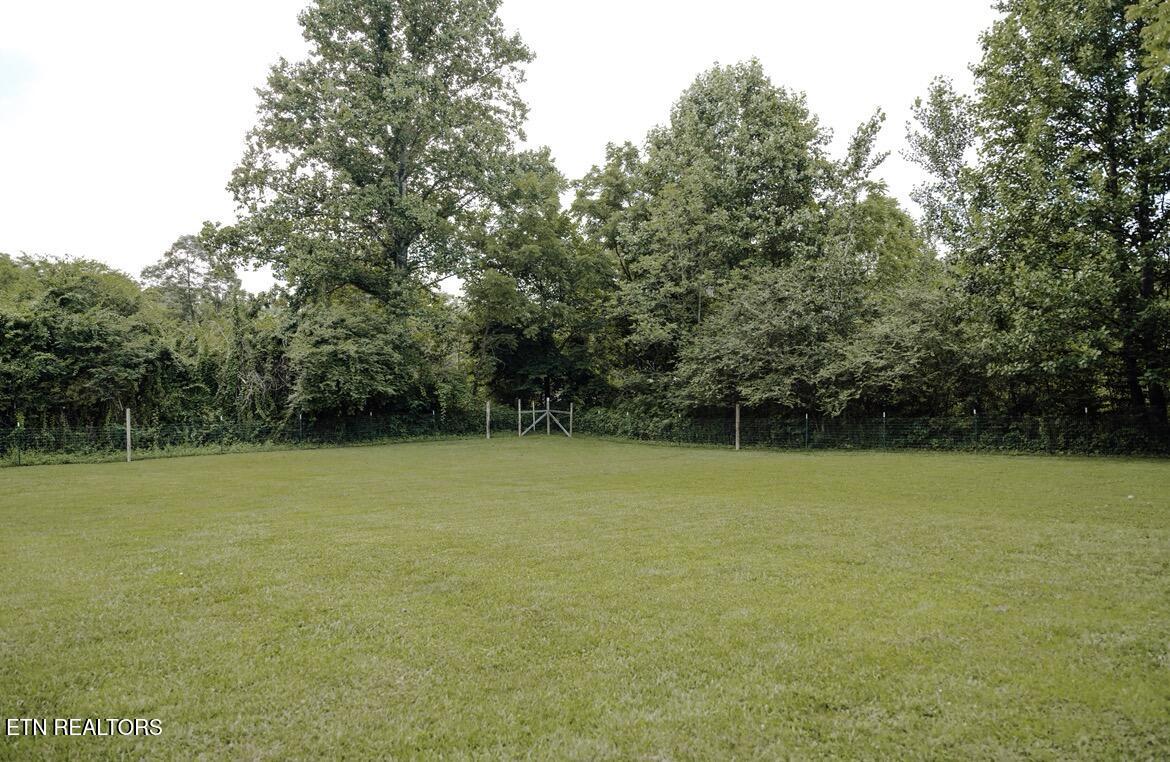 935 Pine Tree Road Jamestown, TN 38556 - Photo 11 of 37 IMG_8717