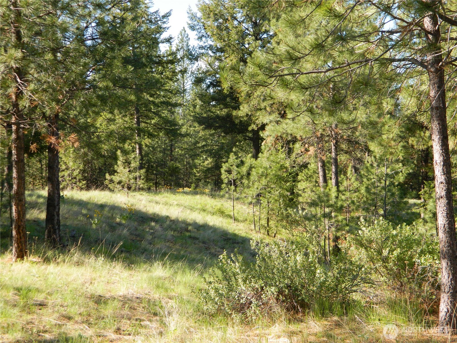 151 Indian Mary Loop Road Tonasket, WA 98855 - Photo 12 of 20