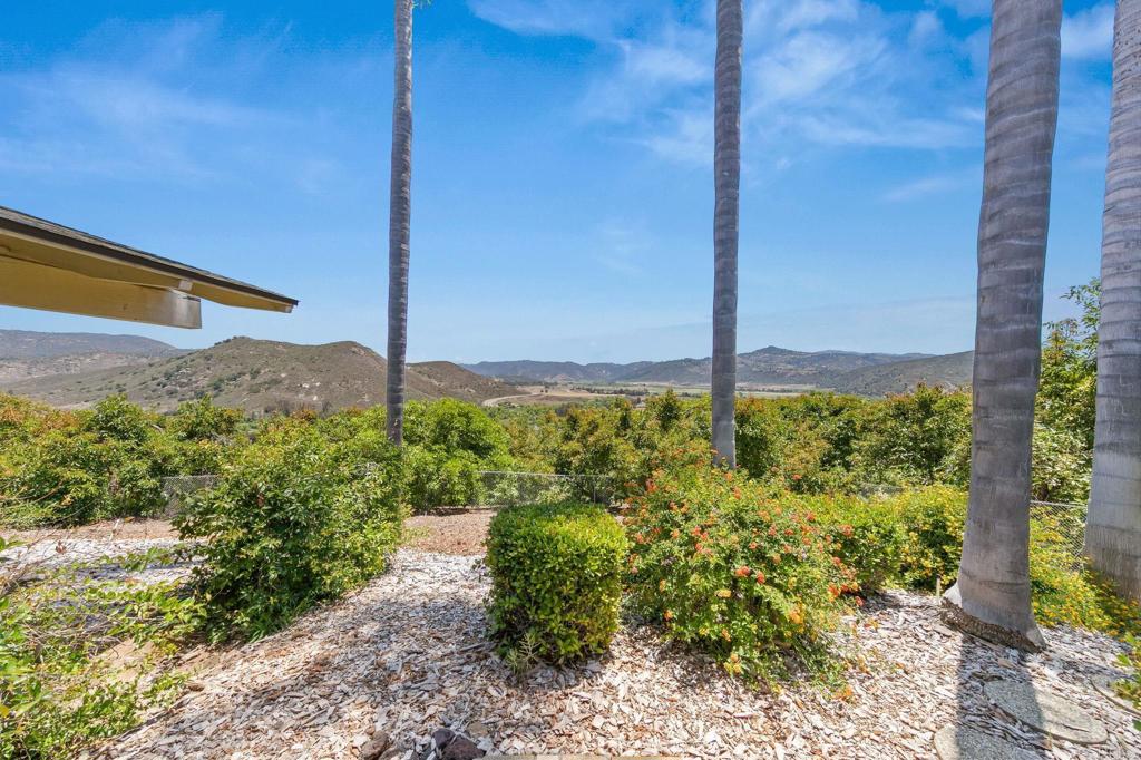 14048 San Pasqual Valley Road Escondido, CA 92027 - Photo 18 of 55 a view of a back yard