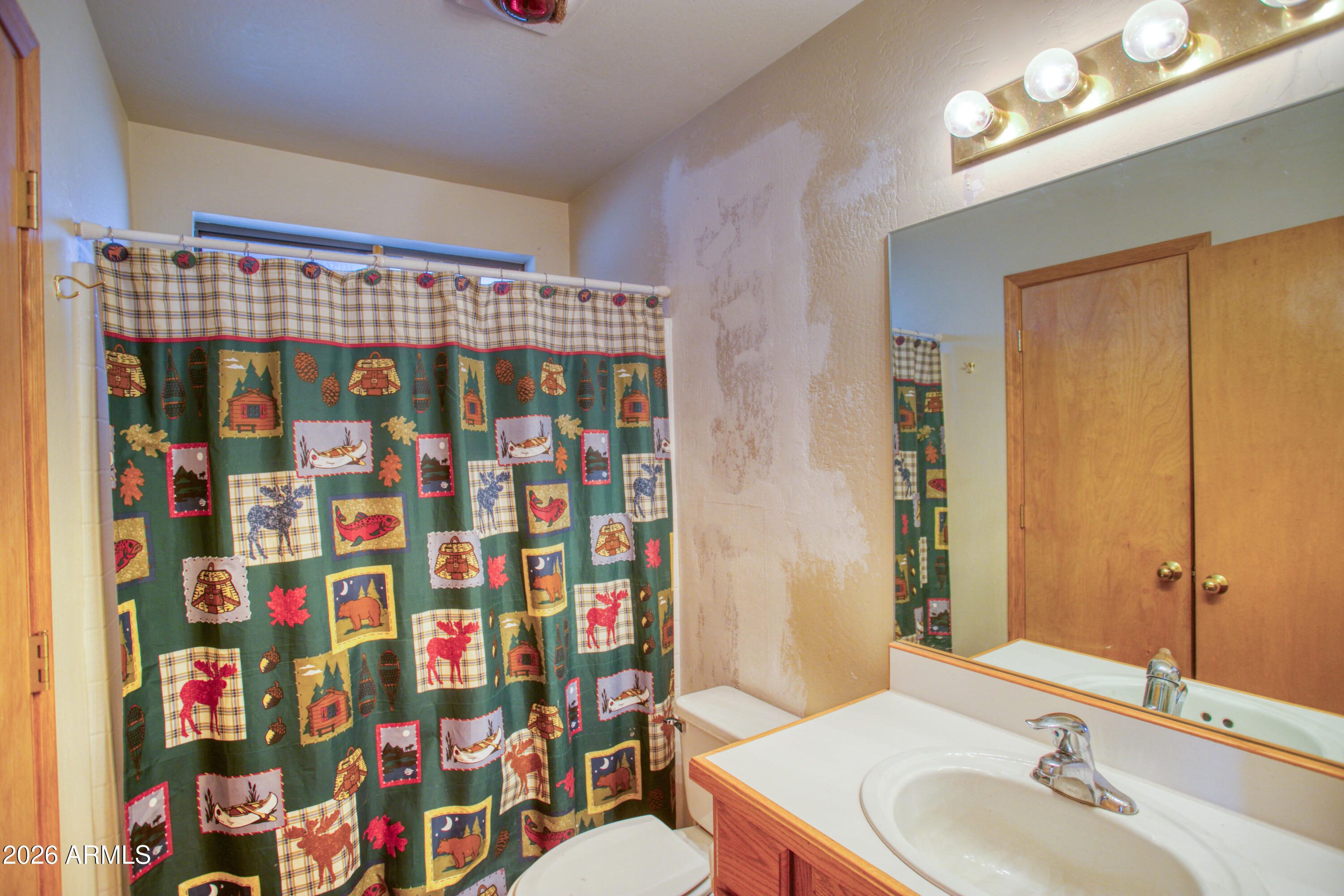 146 Deer Run Road Pinetop, AZ 85935 - Photo 16 of 44 PRIMARY BATH