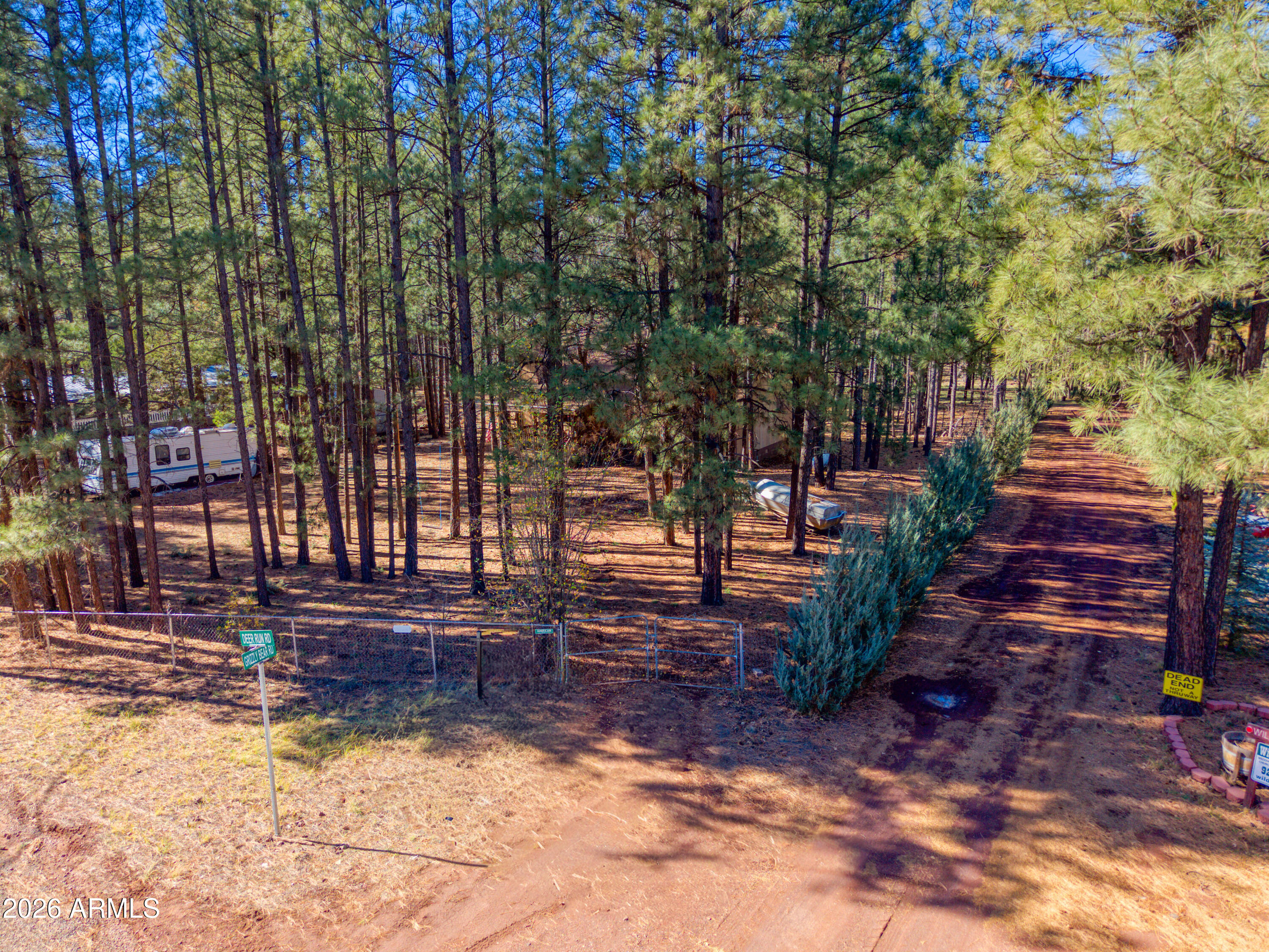 146 Deer Run Road Pinetop, AZ 85935 - Photo 24 of 44 a view of a yard with plants and trees
