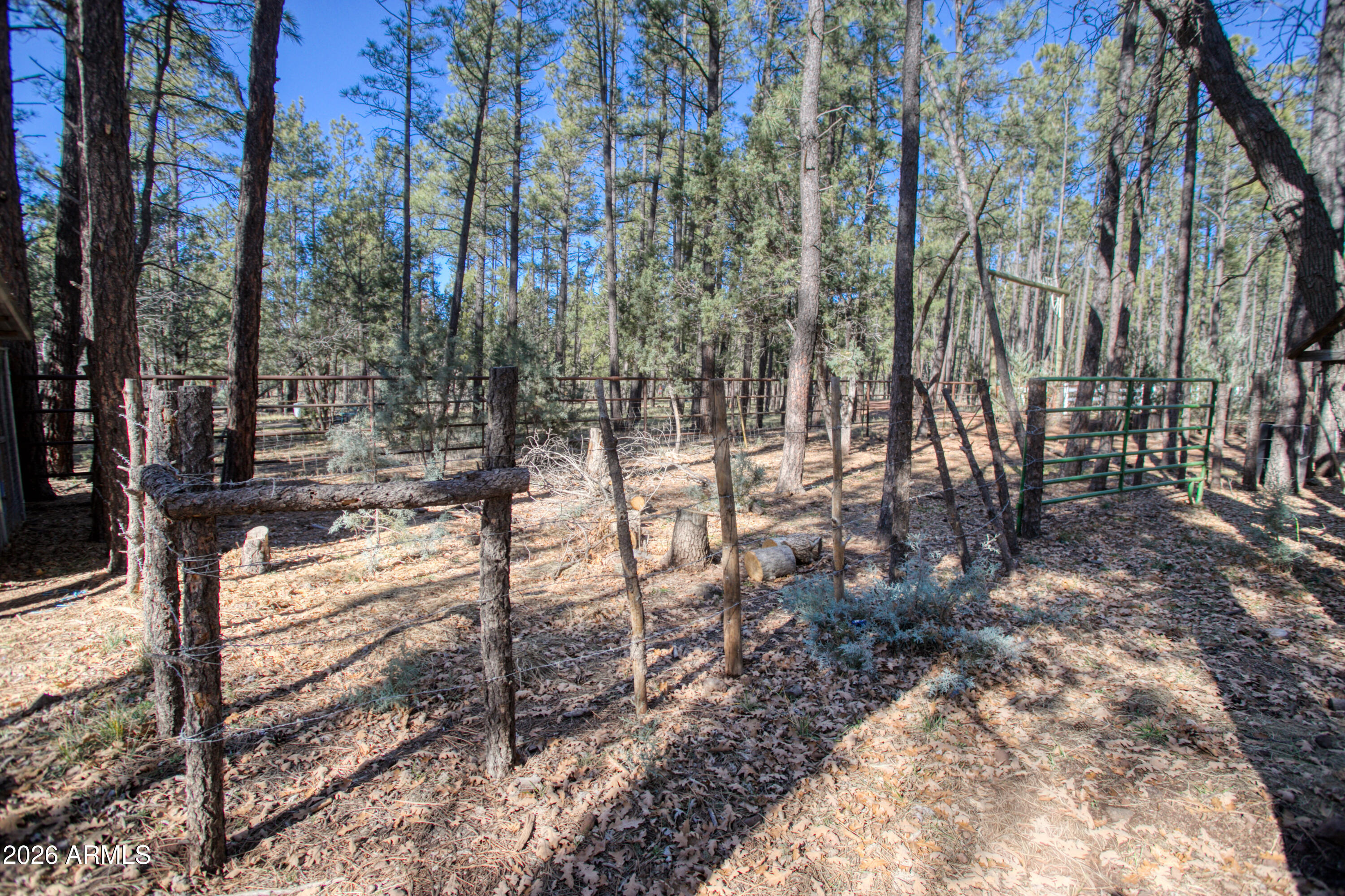 146 Deer Run Road Pinetop, AZ 85935 - Photo 27 of 44 a view of outdoor space with lots of trees