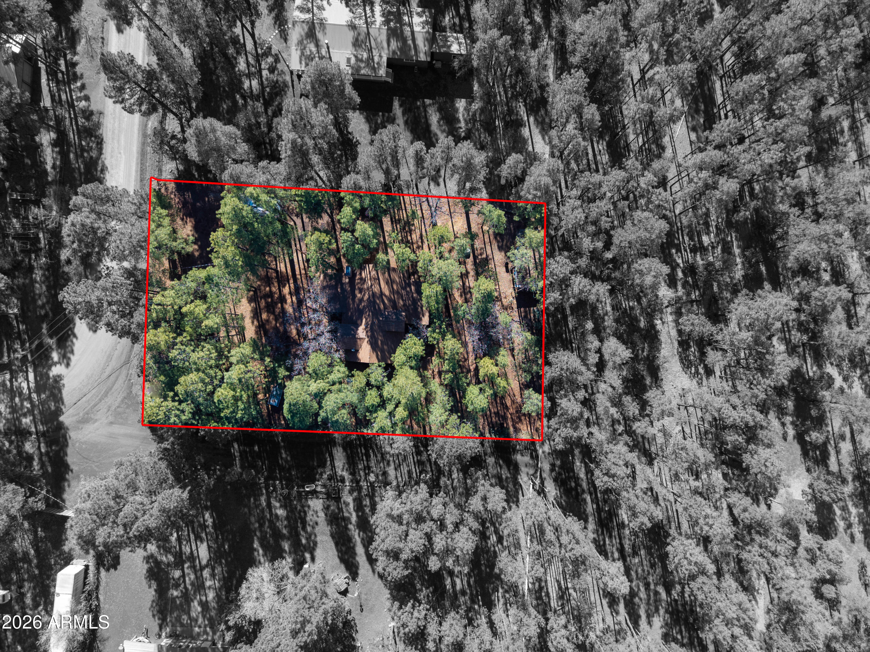 146 Deer Run Road Pinetop, AZ 85935 - Photo 29 of 44 a view of a garden with flowers