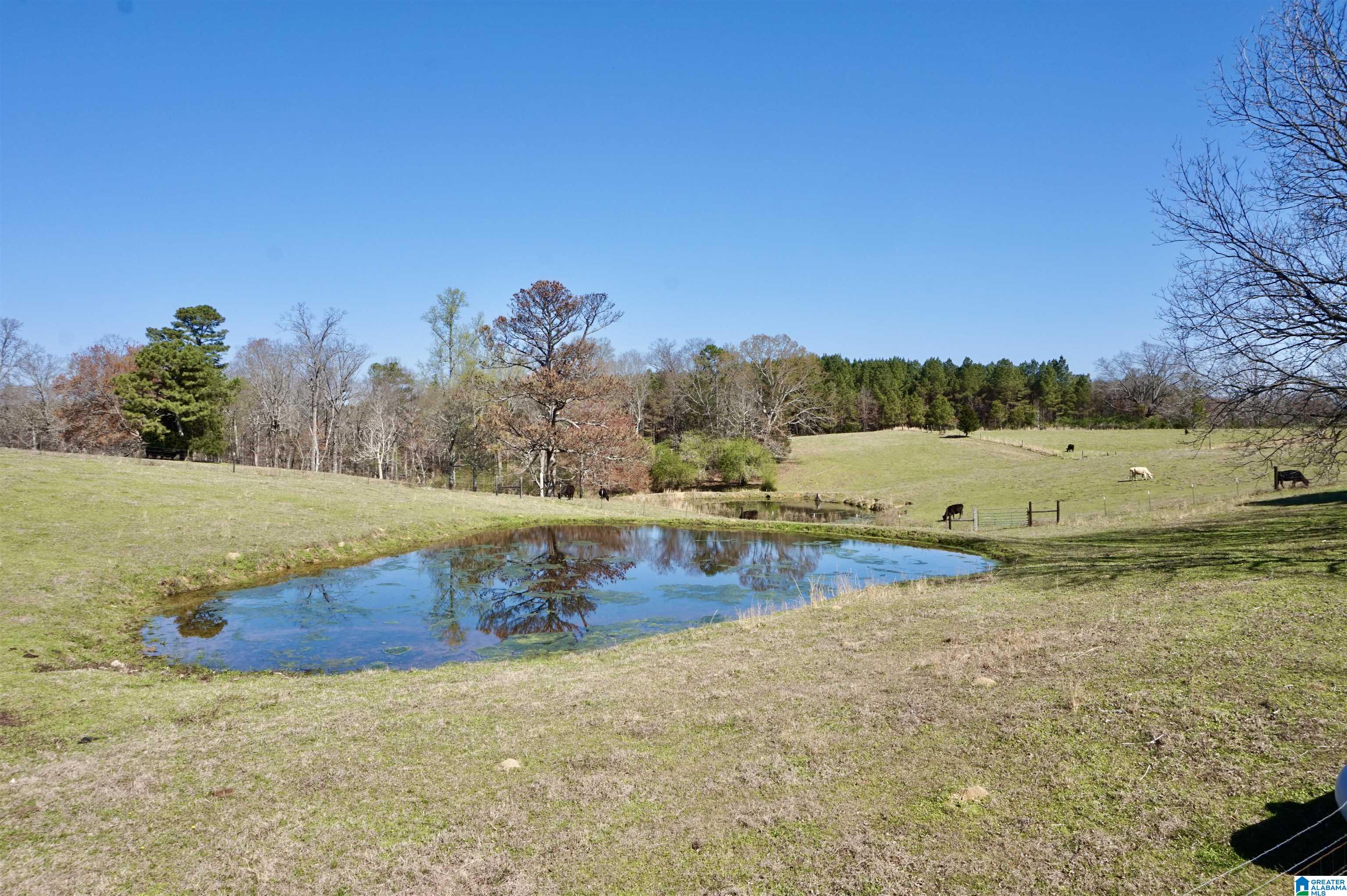 8115 Helicon Road Arley, AL 35541 - Photo 71 of 86
