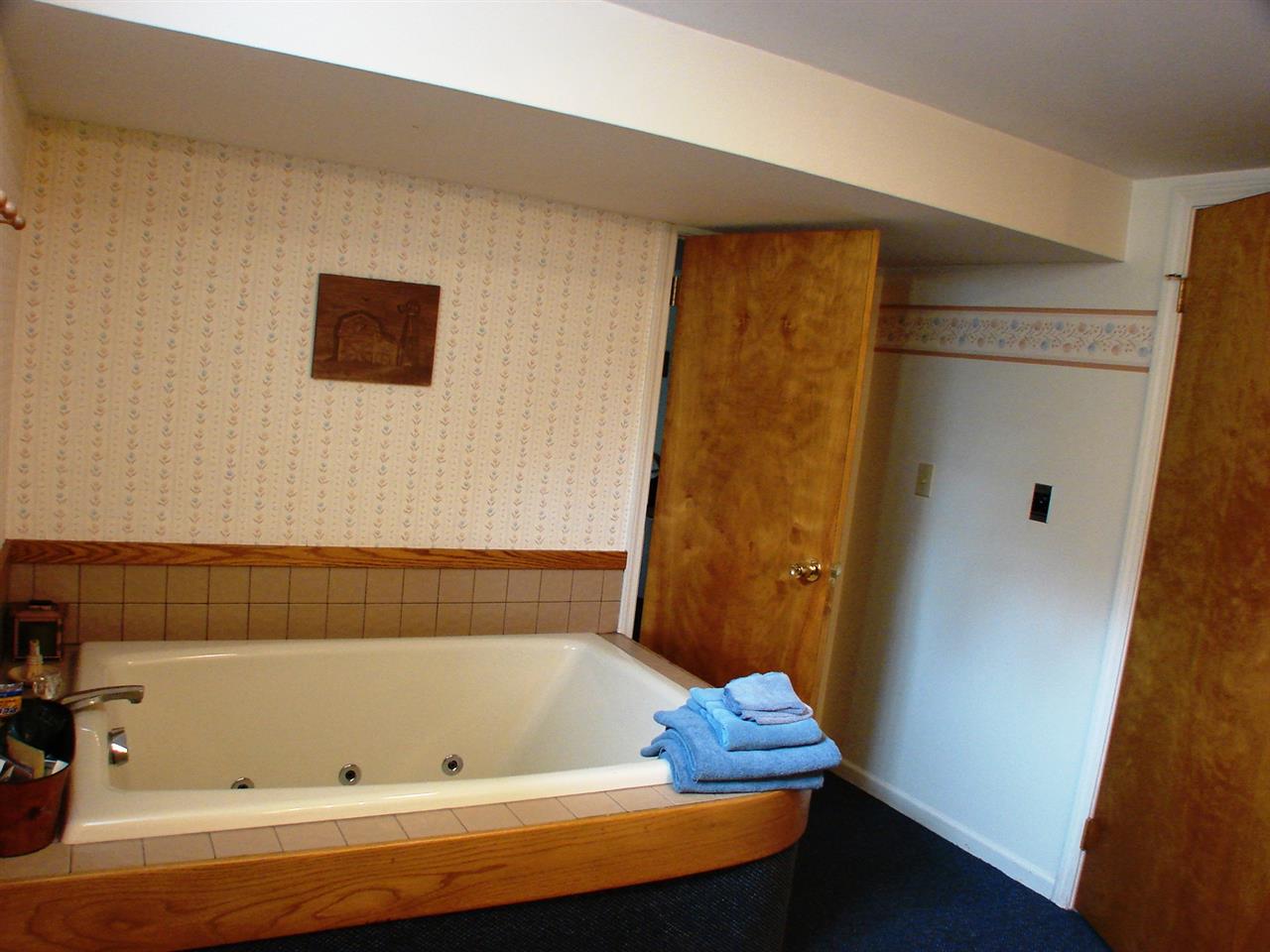 917 West Center Street Ithaca, MI 48847 - Photo 36 of 84 1817007-36.JPG