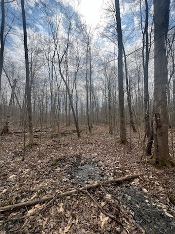 0 Philadelphia Road Springboro, PA 16435 - Photo 10 of 12 Most of the property is wooded.