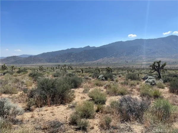 a view of a mountain range with trees
