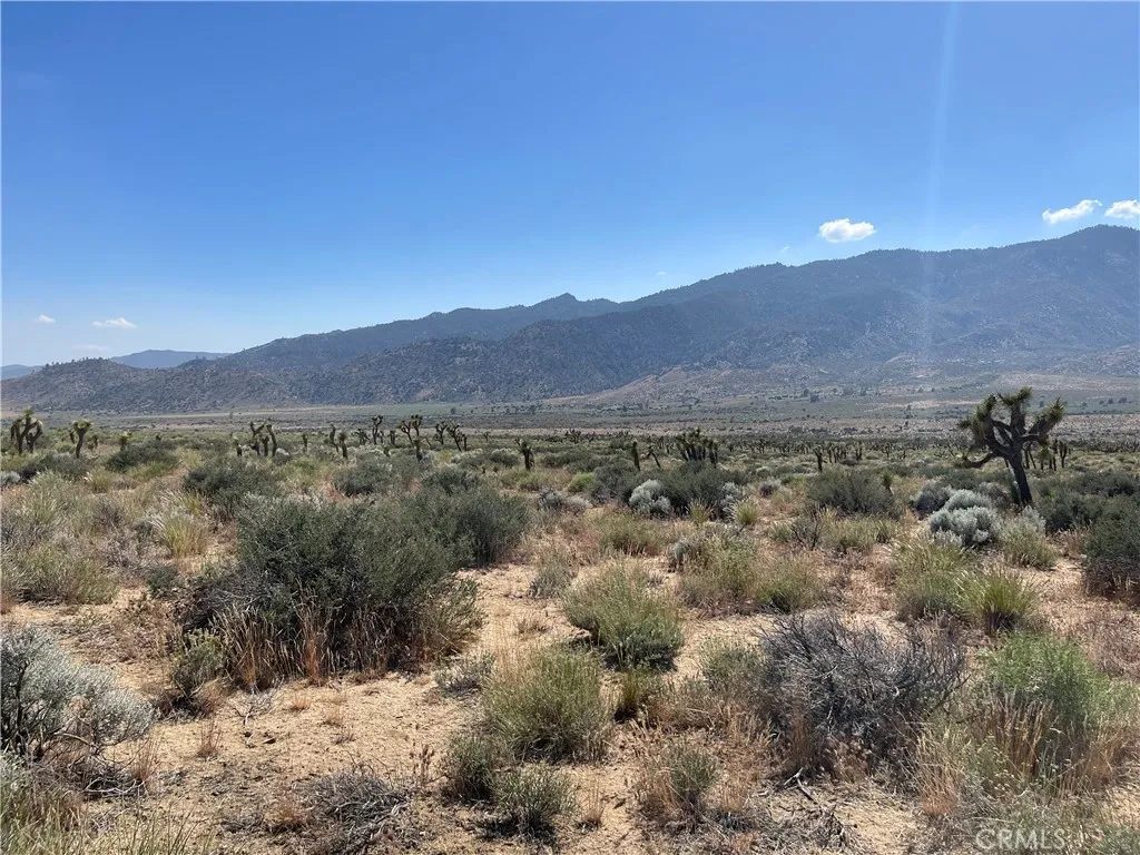 a view of a mountain range with trees