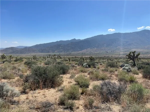 a view of a mountain range with trees