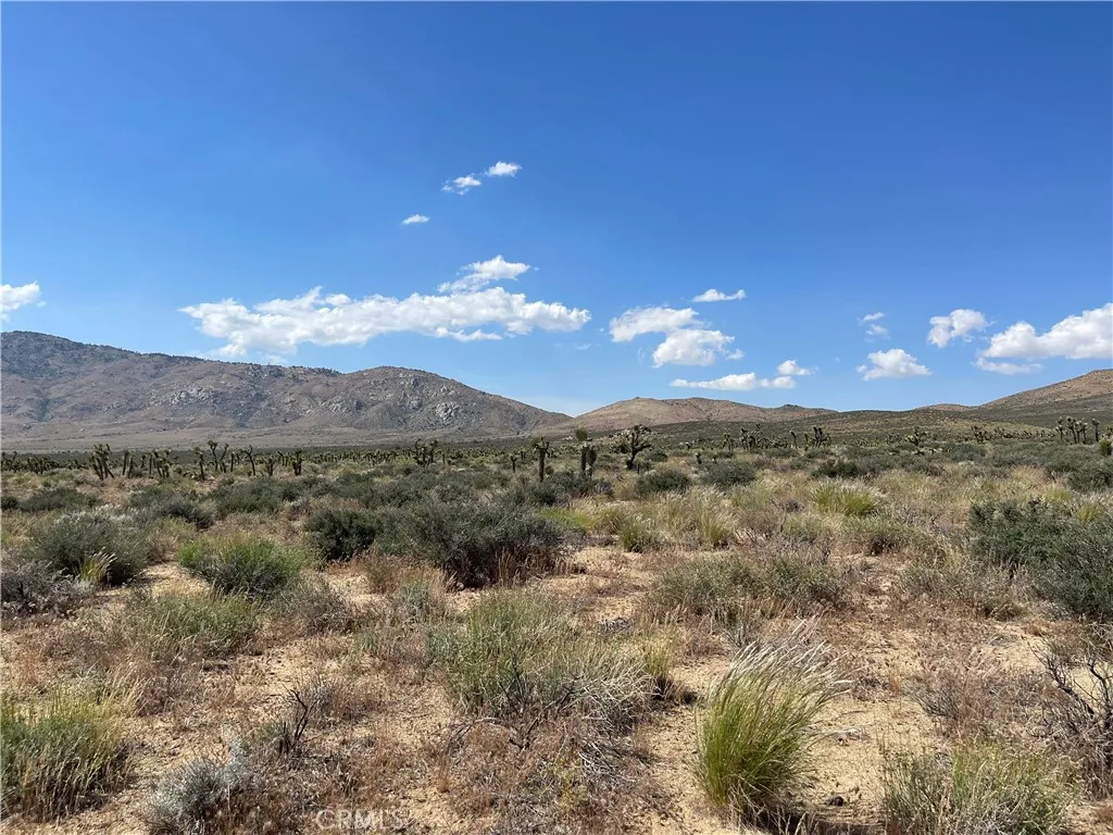 15310023 South Kelso Valley Road Weldon, CA 93283 - Photo 3 of 7 a view of a city