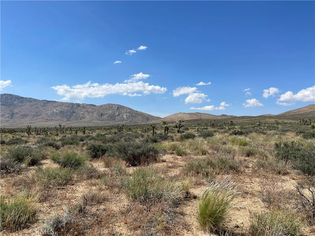 15310023 South Kelso Valley Road Weldon, CA 93283 - Photo 3 of 7 a view of a city
