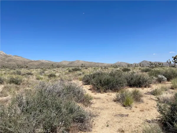 a view of a dry yard with mountains in the background