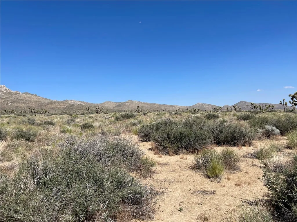 15310023 South Kelso Valley Road Weldon, CA 93283 - Photo 5 of 7 a view of a dry yard with mountains in the background