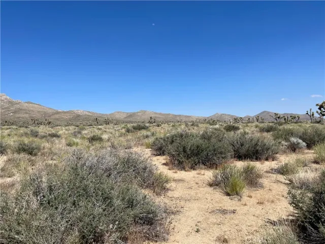 a view of a dry yard with mountains in the background