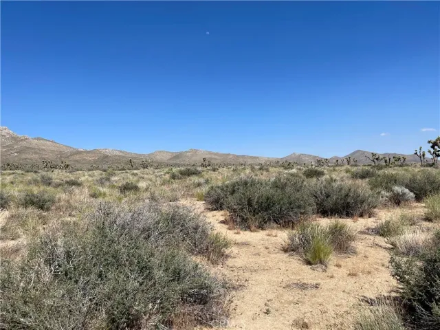 a view of a dry yard with mountains in the background