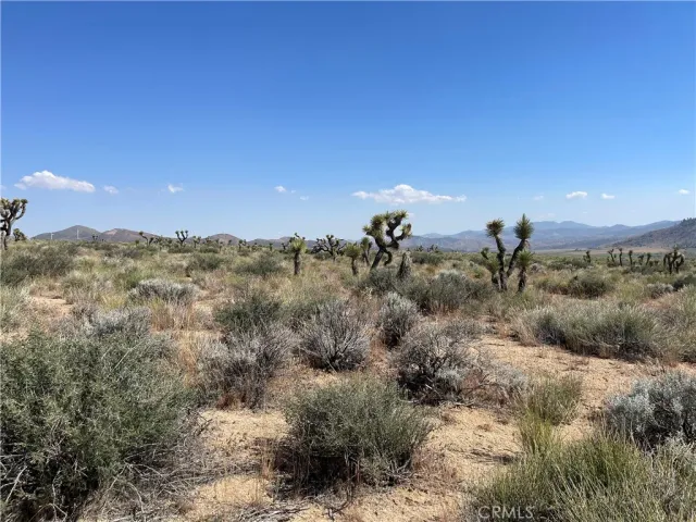 a view of a city with lush green forest