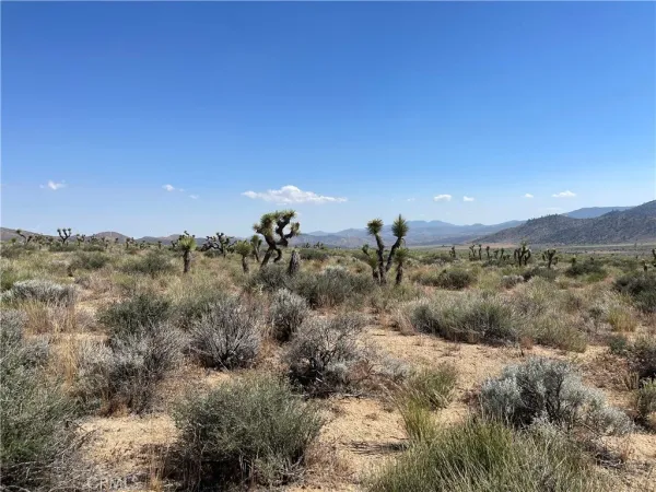 a view of a field of mountains and tree