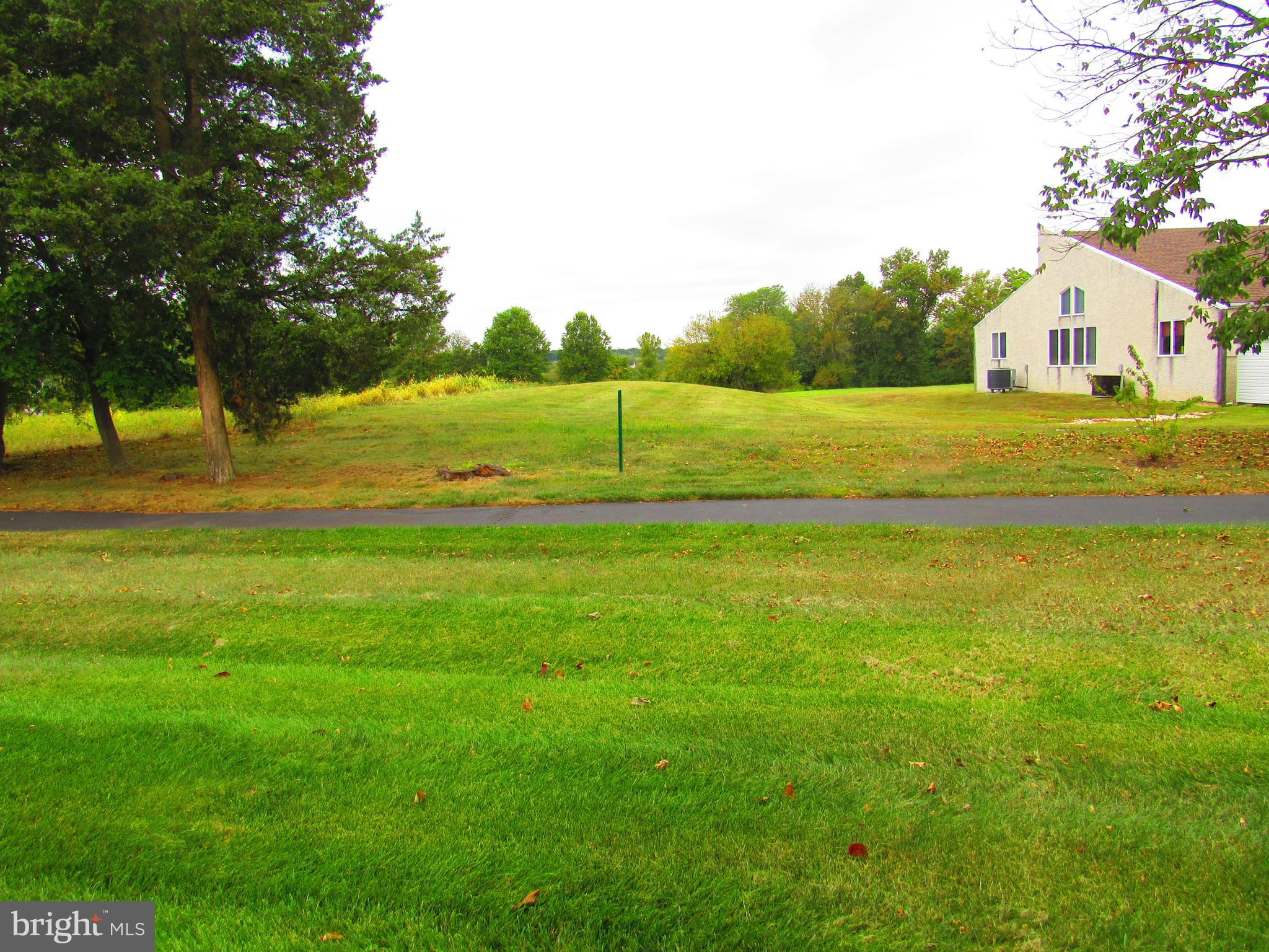 411 Ruth Court Harleysville, PA 19438 - Photo 21 of 30 View from the Back Porch - Looking Straight Back