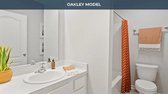 a bathroom with a sink and a toilet