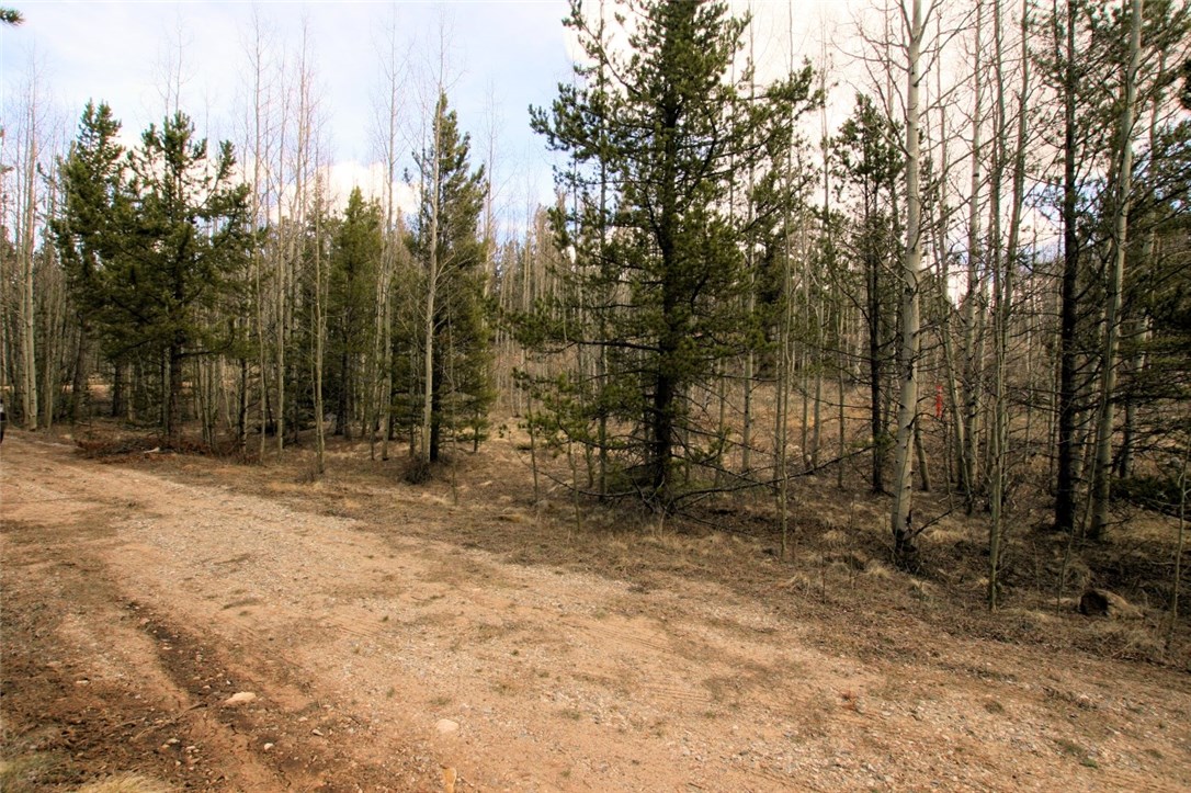 258 Co 665 Road Fairplay, CO 80440 - Photo 17 of 25 Gallery Image 17