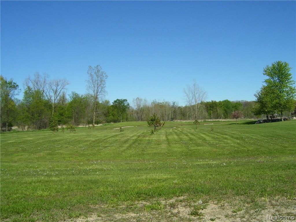 4220 Millis Road North Branch, MI 48461 - Photo 22 of 63 2015-01-10 07.50
