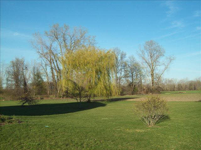 2212 Sheick Road Monroe, MI 48162 - Photo 16 of 17 20089065-15.JPG