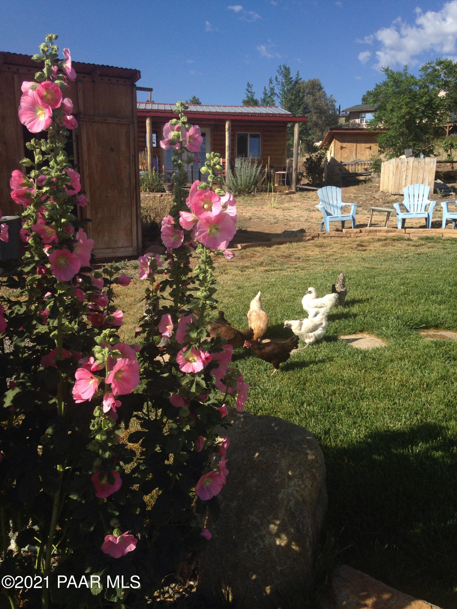 2325 Silver Juniper Ranch Road Prescott, AZ 86305 - Photo 74 of 81 907_Hollyhock.Chickens 2